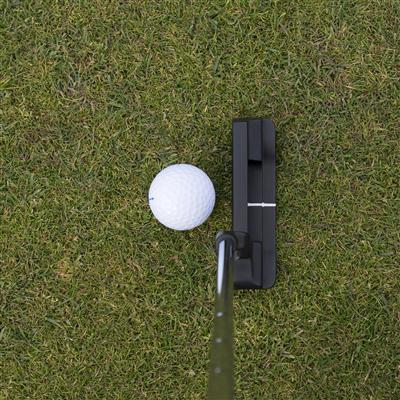 iNET Web markets golf courses and minigolf centers Putting a golf ball on a course marketed by iNET Web