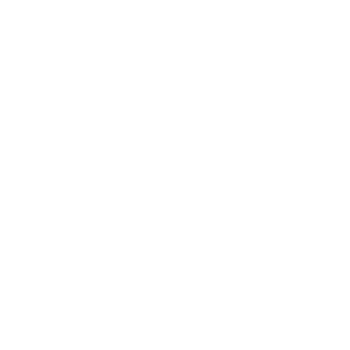 Professional website design and devlopment for hunting dog supplies online store